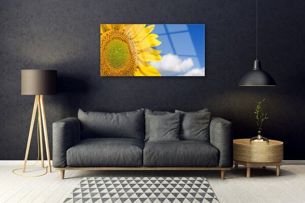 Quadro vetro Girasole Cielo Nuvole 100x50 cm 2 appendini