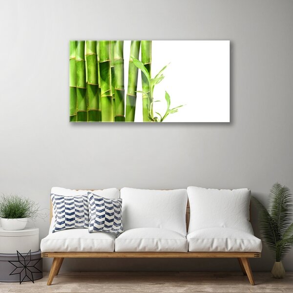 Quadro su vetro Pianta di bambù 100x50 cm 2 appendini