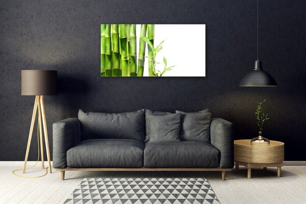 Quadro su vetro Pianta di bambù 100x50 cm 2 appendini