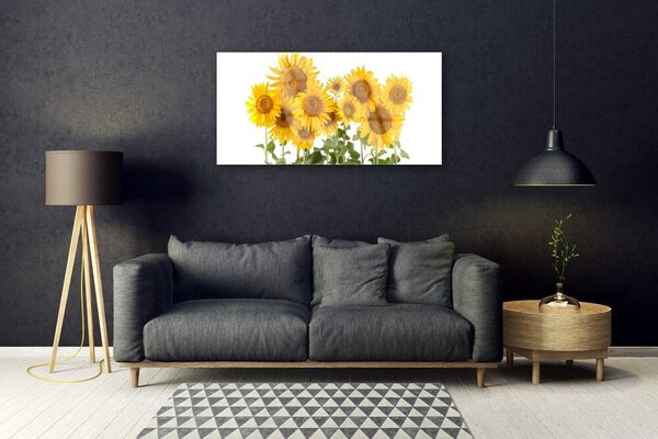 Quadro vetro Piantare i girasoli 100x50 cm 2 appendini