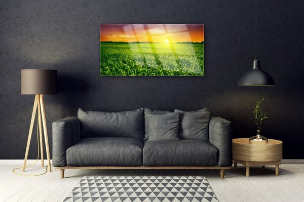 Quadro vetro Alba del campo di grano 100x50 cm 2 appendini