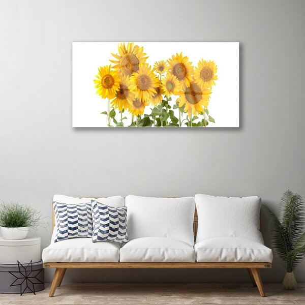 Quadro vetro Piantare i girasoli 100x50 cm 2 appendini