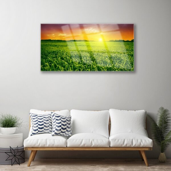 Quadro vetro Alba del campo di grano 100x50 cm 2 appendini