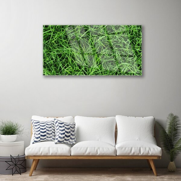 Quadro in vetro Prato d'erba 100x50 cm 2 appendini