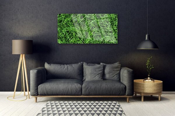 Quadro in vetro Prato d'erba 100x50 cm 2 appendini