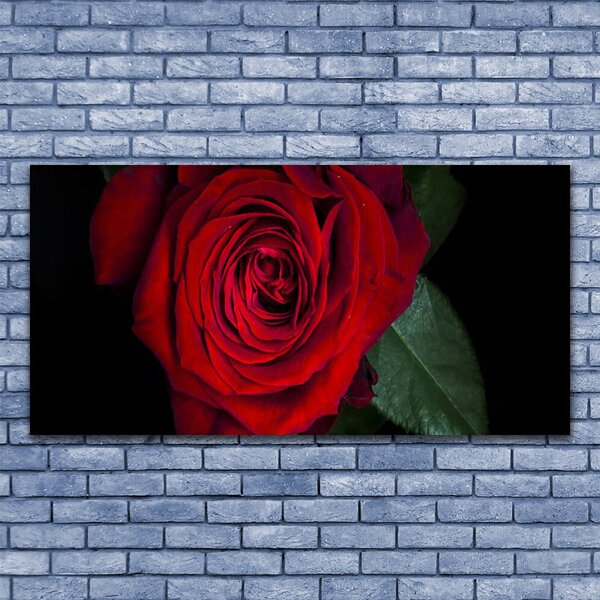 Quadro su tela Rosa Sul Muro 100x50 cm