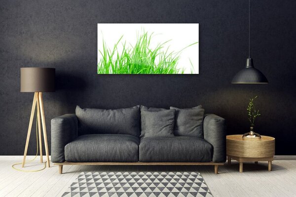 Quadro su vetro Pianta d'erba 100x50 cm 2 appendini