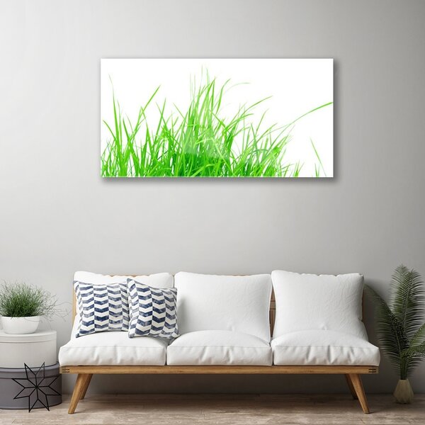 Quadro su vetro Pianta d'erba 100x50 cm 2 appendini