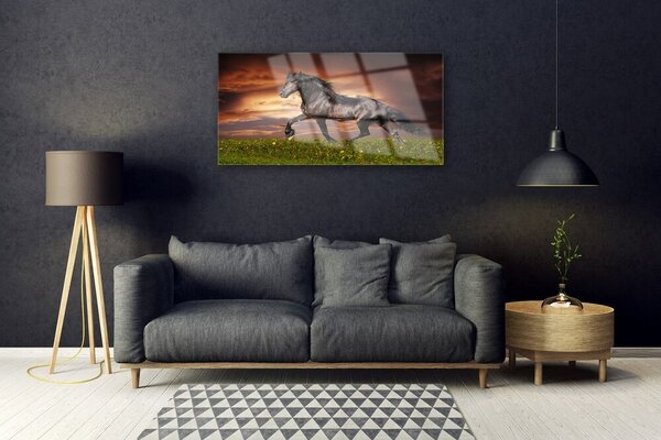 Quadro di vetro Cavallo nero Animali da prato 100x50 cm 2 appendini