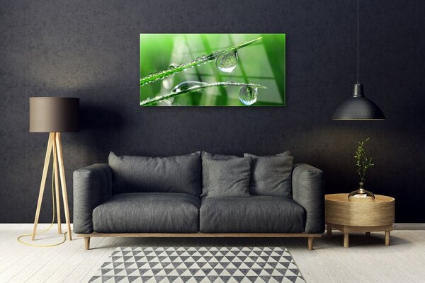 Quadro su vetro Gocce di Erba Rosa 100x50 cm 2 appendini
