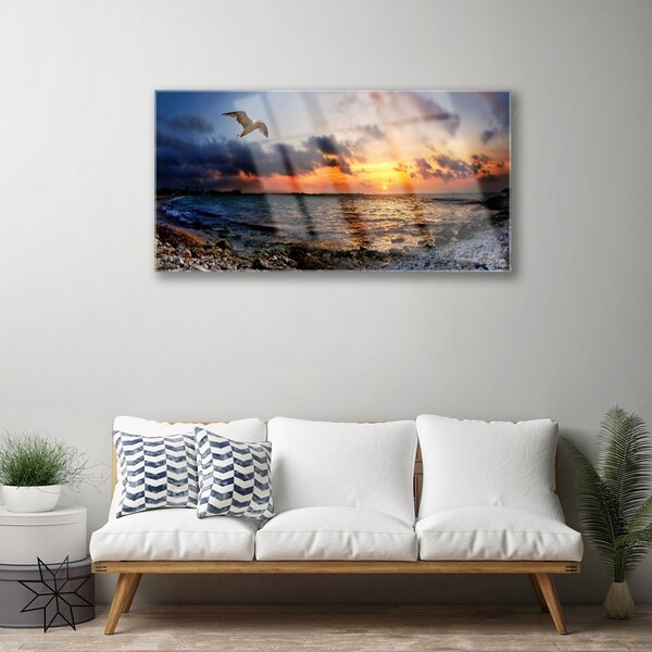 Quadro in vetro Gabbiano mare spiaggia paesaggio 100x50 cm 2 appendini
