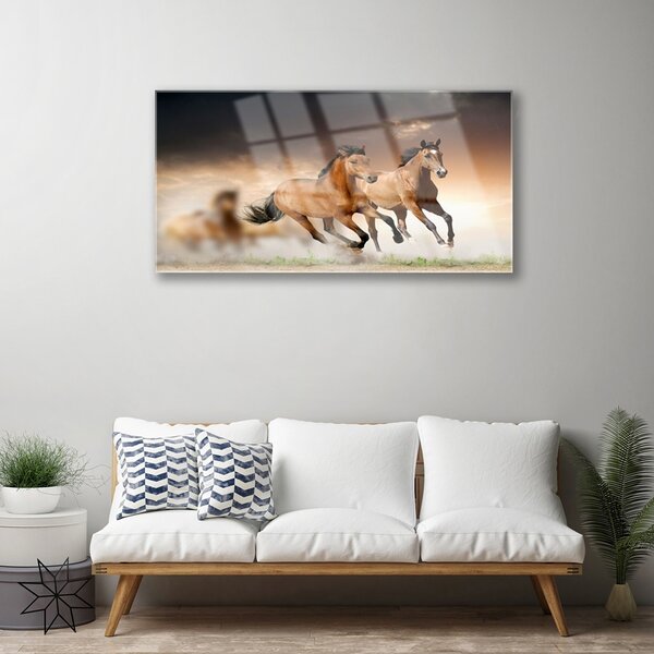 Quadro vetro Cavalli Animali 100x50 cm 2 appendini