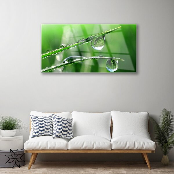 Quadro su vetro Gocce di Erba Rosa 100x50 cm 2 appendini