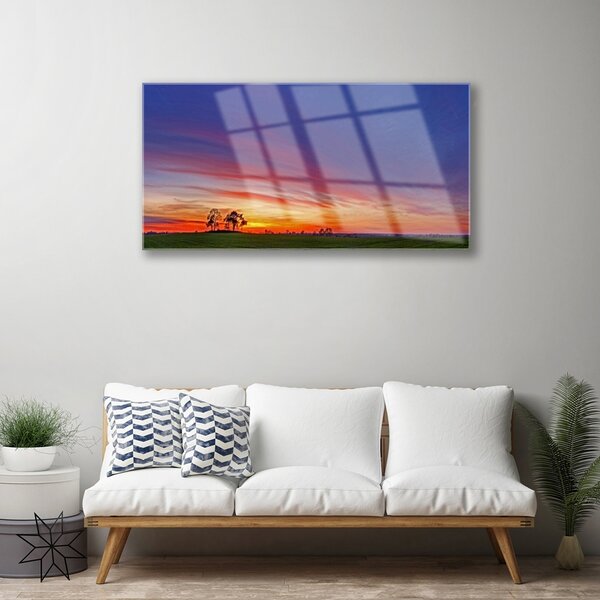 Quadro in vetro Paesaggio Campo Alberi Natura 100x50 cm 2 appendini