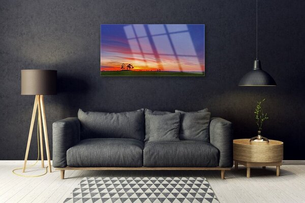 Quadro in vetro Paesaggio Campo Alberi Natura 100x50 cm 2 appendini