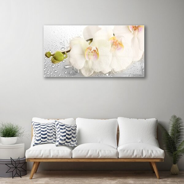 Quadro vetro Fiori da parete 100x50 cm 2 appendini