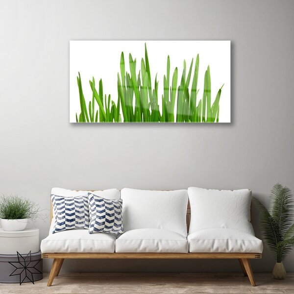 Quadro in vetro Erba per il muro 100x50 cm 2 appendini