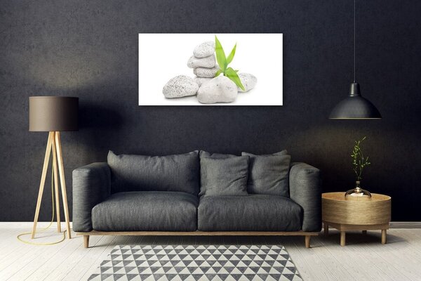 Quadro vetro Pietre della natura 100x50 cm 2 appendini