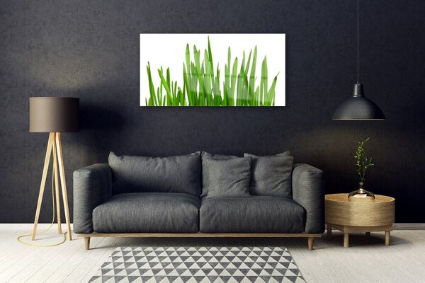 Quadro in vetro Erba per il muro 100x50 cm 2 appendini