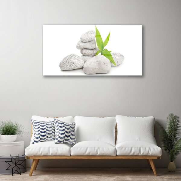 Quadro vetro Pietre della natura 100x50 cm 2 appendini