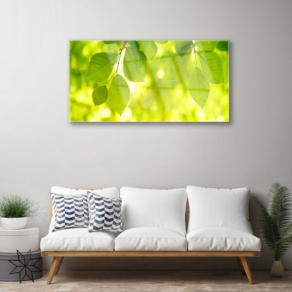 Quadro di vetro Foglie sul muro 100x50 cm 2 appendini
