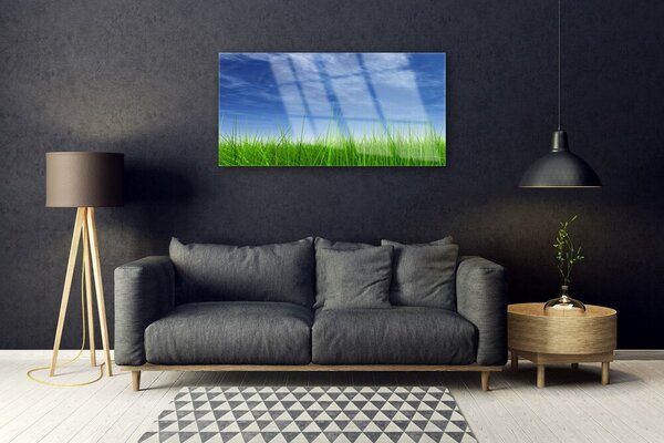 Quadro vetro Erba del cielo Pianta naturale 100x50 cm 2 appendini