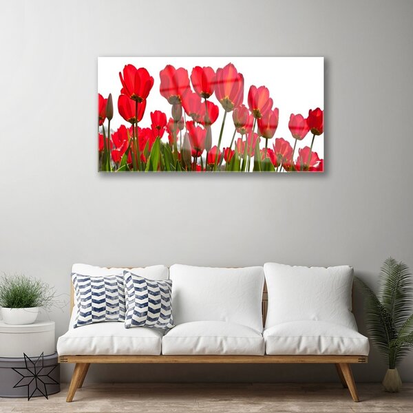 Quadro in vetro Fiori da parete 100x50 cm 2 appendini