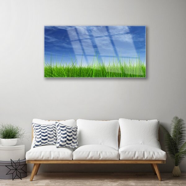 Quadro vetro Erba del cielo Pianta naturale 100x50 cm 2 appendini