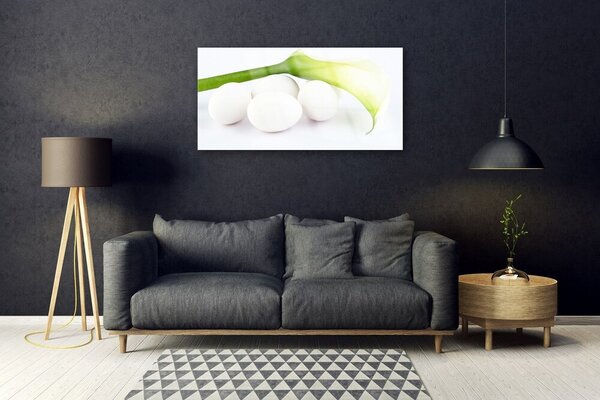 Quadro vetro Uova per il muro 100x50 cm 2 appendini