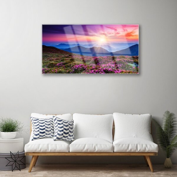Quadro vetro Montagne Prato Fiori Paesaggio 100x50 cm 2 appendini