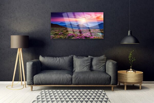 Quadro vetro Montagne Prato Fiori Paesaggio 100x50 cm 2 appendini