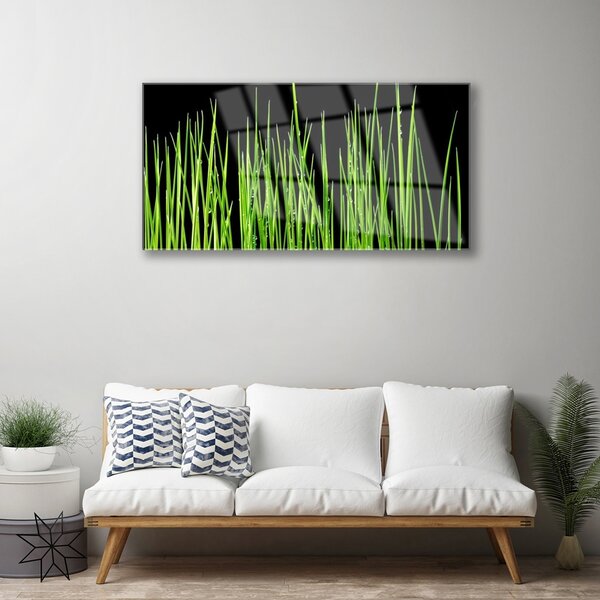 Quadro in vetro Pianta d'erba 100x50 cm 2 appendini