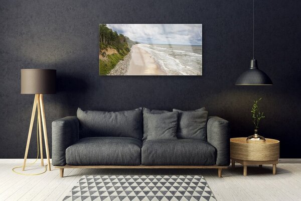 Quadro in vetro Spiaggia Mare Albero Natura 100x50 cm 2 appendini