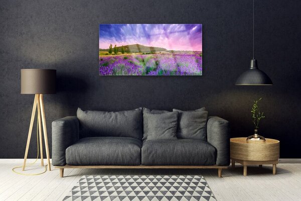 Quadro su vetro Prato Fiori Montagna Natura 100x50 cm 2 appendini