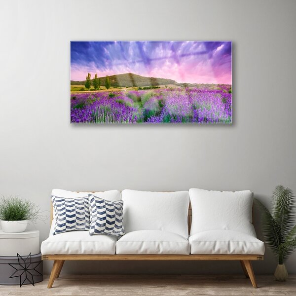 Quadro su vetro Prato Fiori Montagna Natura 100x50 cm 2 appendini