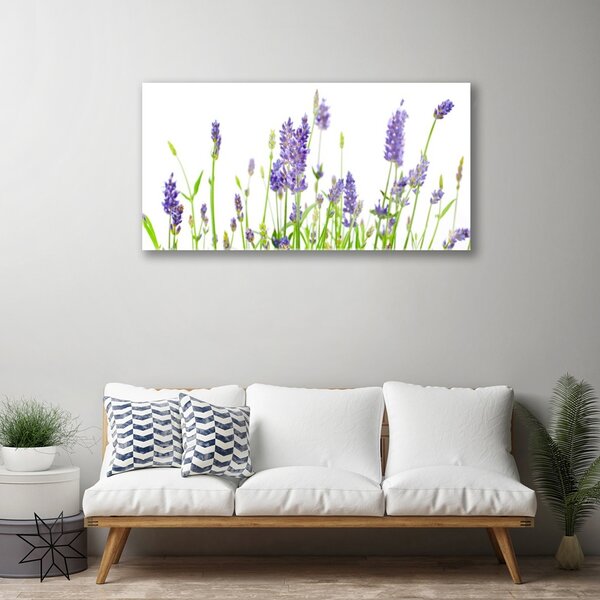 Quadro su vetro Fiori da parete 100x50 cm 2 appendini