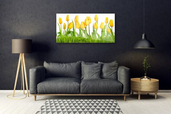 Quadro in vetro Tulipani per il muro 100x50 cm 2 appendini