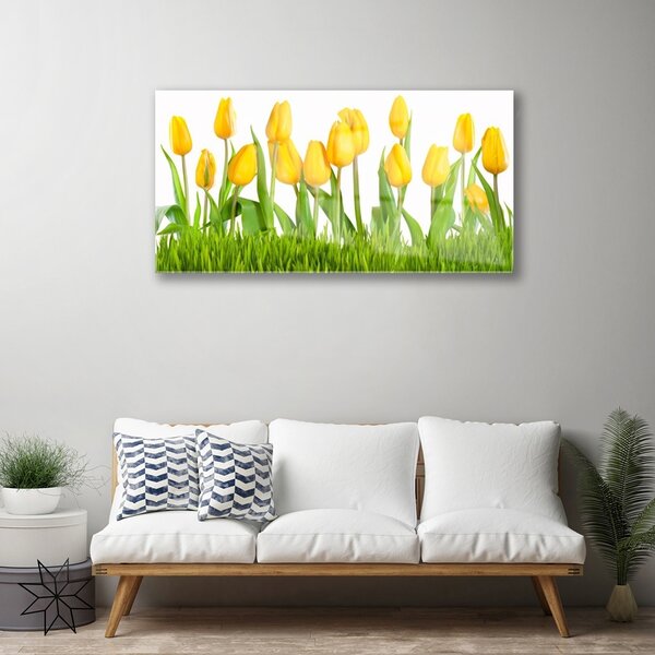 Quadro in vetro Tulipani per il muro 100x50 cm 2 appendini