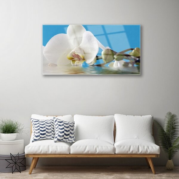 Quadro di vetro Fiore Pianta naturale 100x50 cm 2 appendini