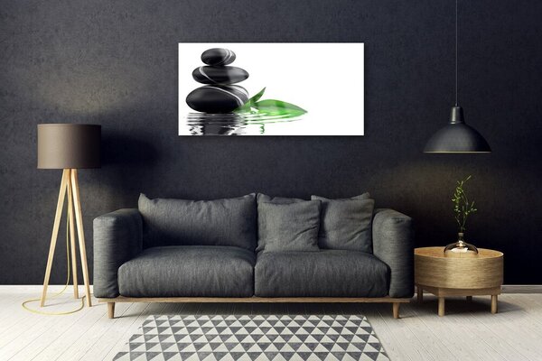 Quadro di vetro Pietre Foglie Arte dell'acqua 100x50 cm 2 appendini