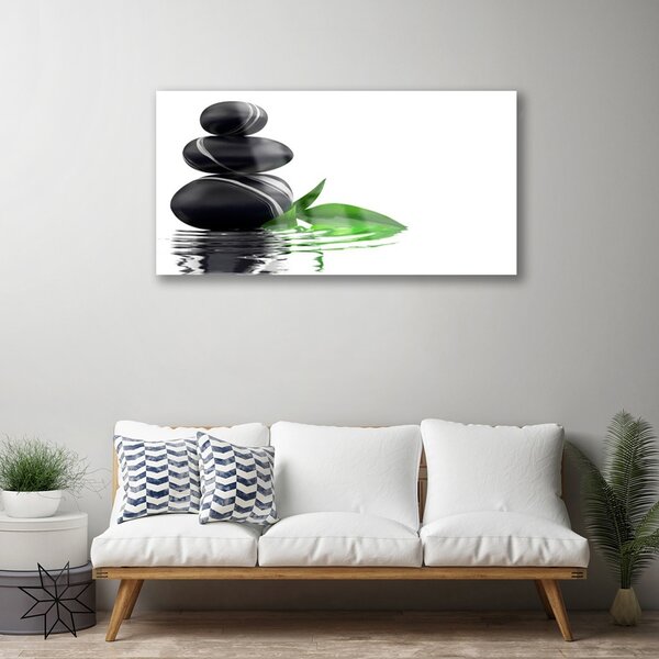 Quadro di vetro Pietre Foglie Arte dell'acqua 100x50 cm 2 appendini