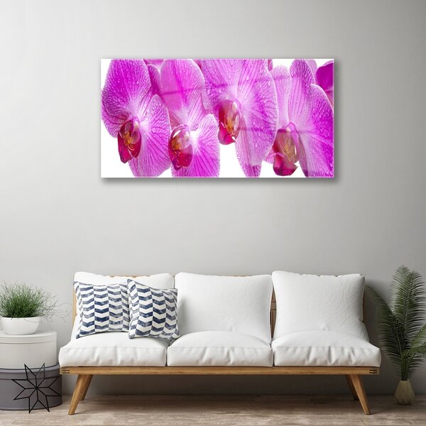 Quadro in vetro Fiori Pianta naturale 100x50 cm 2 appendini