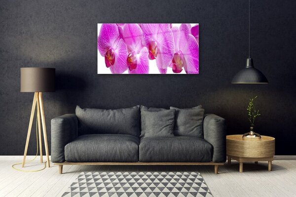 Quadro in vetro Fiori Pianta naturale 100x50 cm 2 appendini