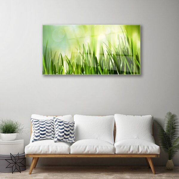 Quadro in vetro Erba Natura 100x50 cm 2 appendini