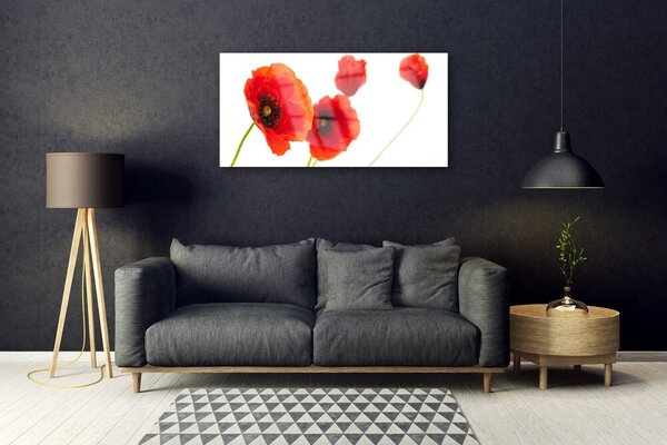 Quadro in vetro Pianta di fiori 100x50 cm 2 appendini