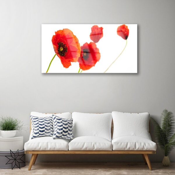 Quadro in vetro Pianta di fiori 100x50 cm 2 appendini