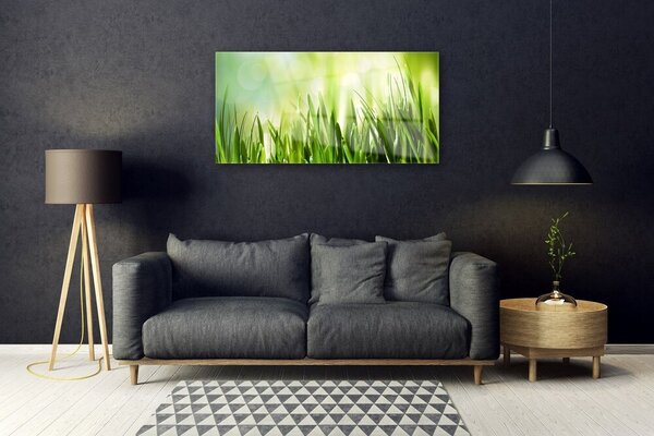 Quadro in vetro Erba Natura 100x50 cm 2 appendini