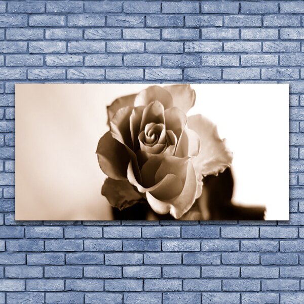 Quadro su tela Pianta di fiori di rosa 100x50 cm