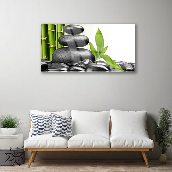 Quadro vetro Pietre Foglie Arte 100x50 cm 2 appendini