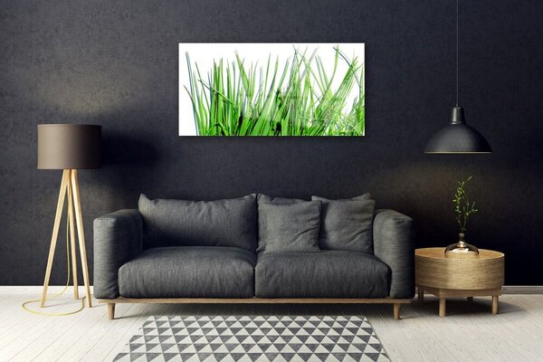 Quadro di vetro Erba per il muro 100x50 cm 2 appendini